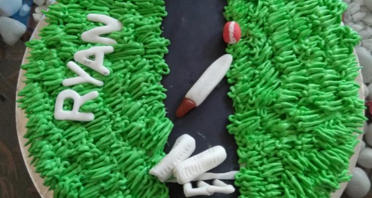 designer cricket cake